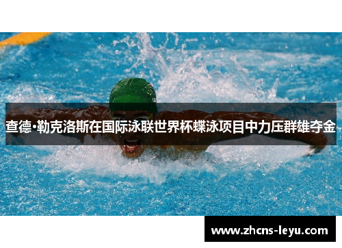 查德·勒克洛斯在国际泳联世界杯蝶泳项目中力压群雄夺金
