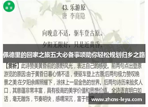 佩德里的回家之旅五大必备事项助你轻松规划归乡之路