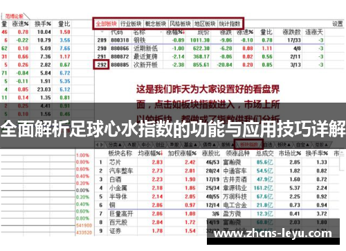 全面解析足球心水指数的功能与应用技巧详解