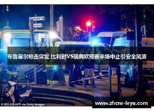 布鲁塞尔枪击突发 比利时VS瑞典欧预赛半场中止引安全风波