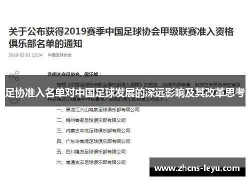 足协准入名单对中国足球发展的深远影响及其改革思考