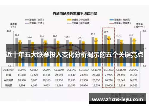 近十年五大联赛投入变化分析揭示的五个关键亮点 近十年五大联赛投入变化分析揭示的五个关键亮点
