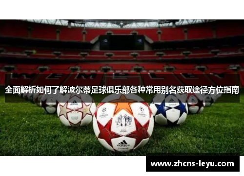 全面解析如何了解波尔蒂足球俱乐部各种常用别名获取途径方位指南 全面解析如何了解波尔蒂足球俱乐部各种常用别名获取途径方位指南